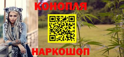крисы Ливны